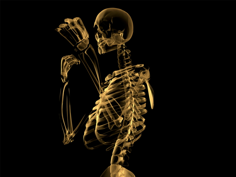 skeleton